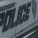 Off Duty Police Sergeant Killed After Witnessing Crime – Law Officer